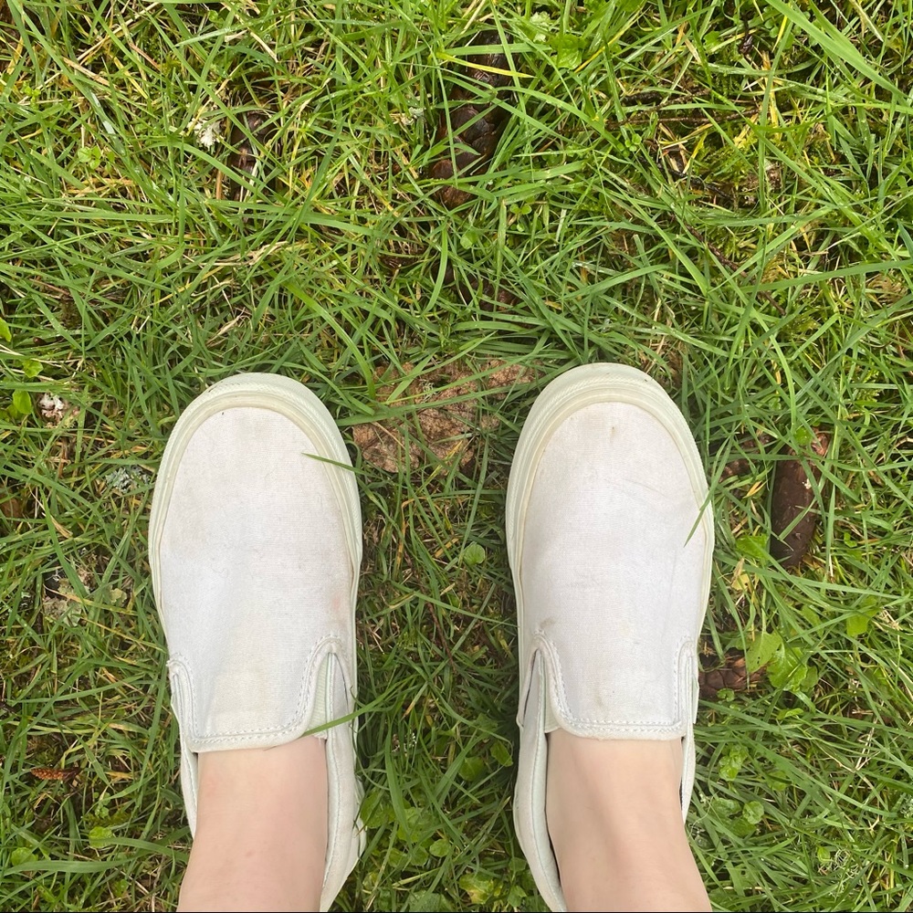 Mint vans - Picture 2 of 6